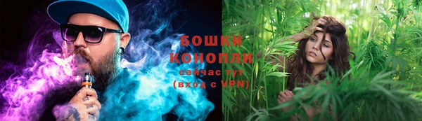 гидра Новозыбков