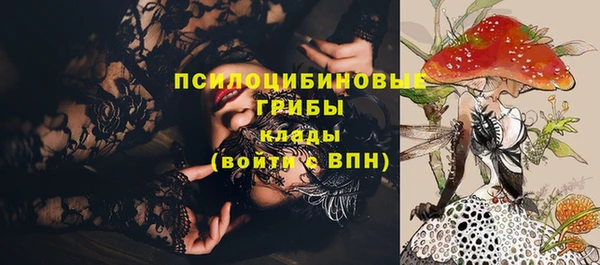 молекула духа Алексин