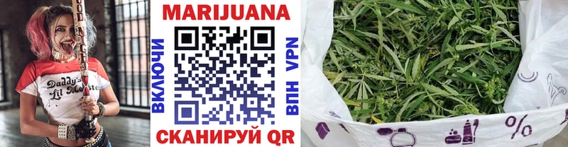 Канабис SATIVA & INDICA Луза